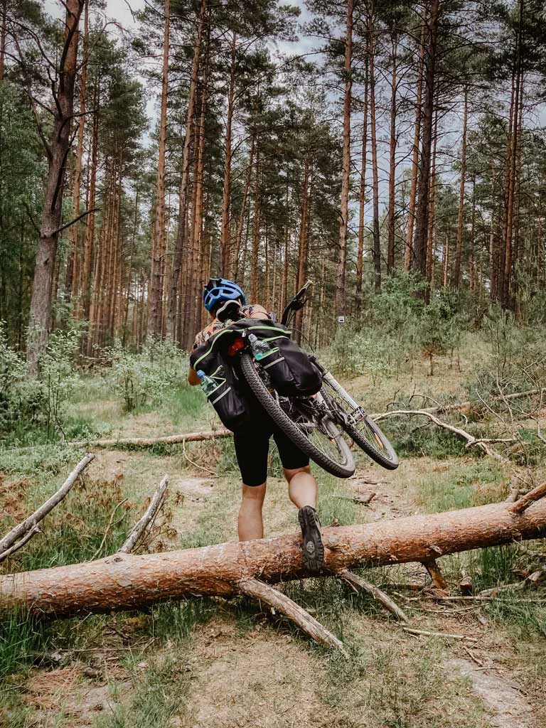 kaszubska-marsztuta-lasy-rowery-droga-wolna