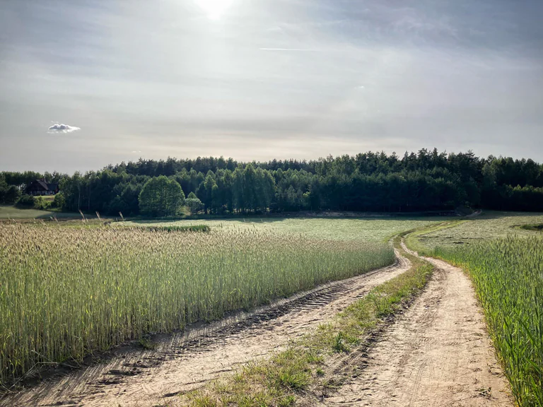 kaszuby-przyroda-droga-wolna