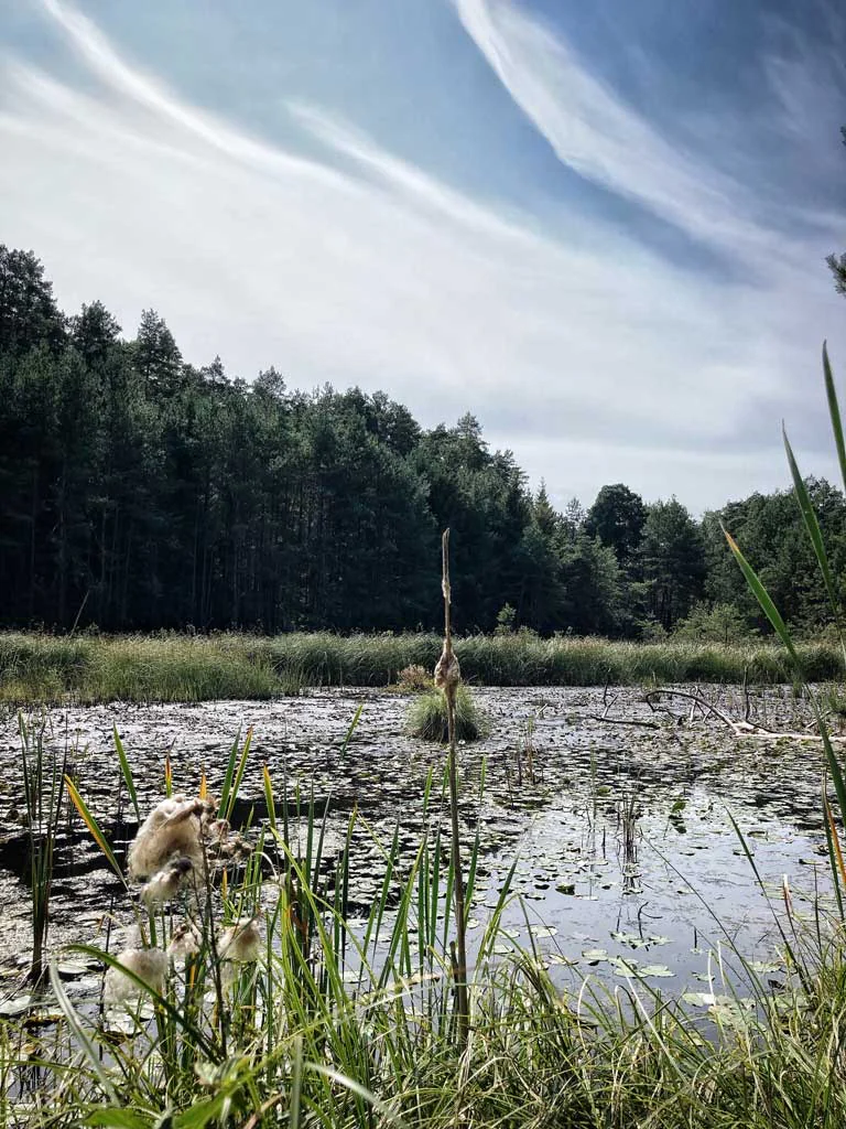 rower-kaszuby-droga-wolna