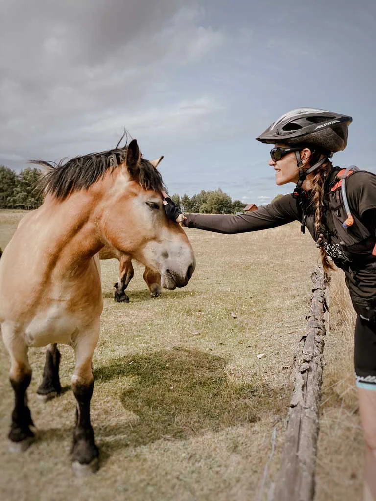 rowerami-przez-kaszuby-droga-wolna