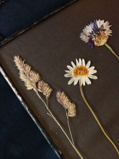10-ramka-ozdobna-z-kwiatami