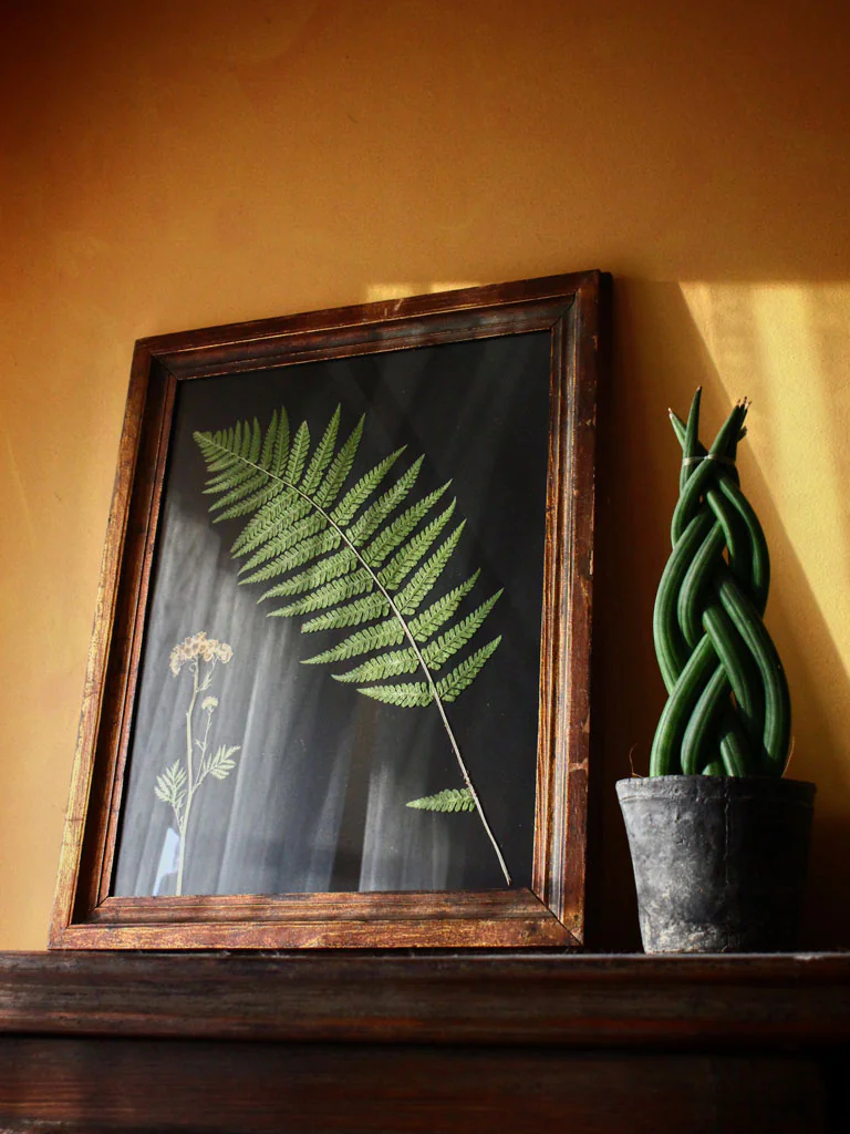 Pomysły na prezenty na Dzień Matki 6 ramka-z-suszoną-paprocią-na-ścianę