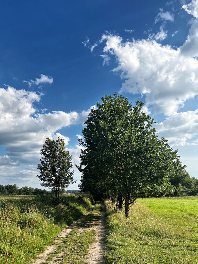 Kaszuby i Pomorze na rowerach 22 kaszuby-na-rowerach-ścieżka