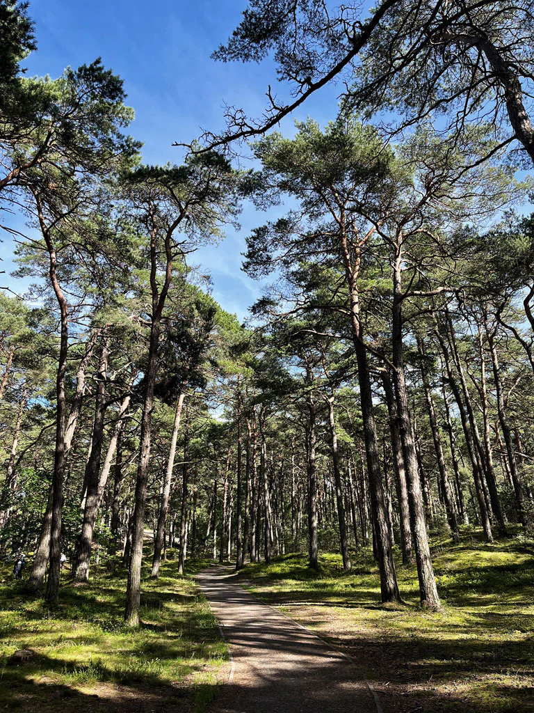 Kaszuby i Pomorze na rowerach 15 trasa-rowerowa-r10-ustka
