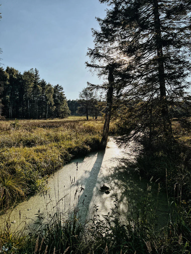 Kaszuby i Pomorze na rowerach 23 wyprawa-rowerowa-kaszuby-droga-wolna