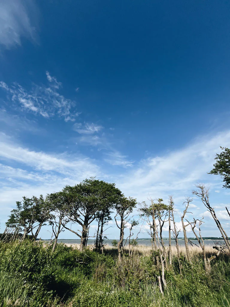Velo Baltica / trasa R10 rowerowa przygoda dla każdego! 24 velo-baltica-mierzeja-jezioro-kopań