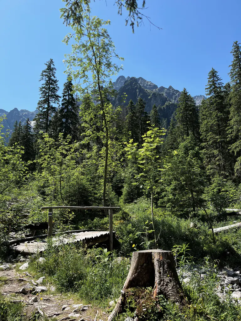Zmarzły Staw pod Polskim Grzebieniem (2047 m n.p.m.) Propozycja wycieczki z pięknymi panoramami. 7 Polana pod Wysoką Tatry Słowackie