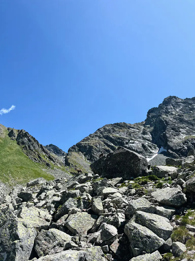 Zmarzły Staw pod Polskim Grzebieniem (2047 m n.p.m.) Propozycja wycieczki z pięknymi panoramami. 11 Szlak niebieski nad Litworowy Staw