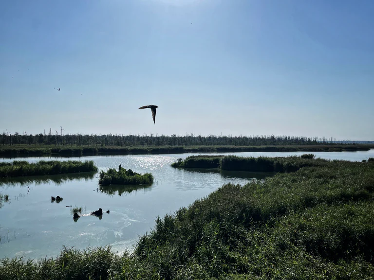 Trasa rowerowa D12 Odra-Nysa 19 szlakiem rowerowym odra nysa