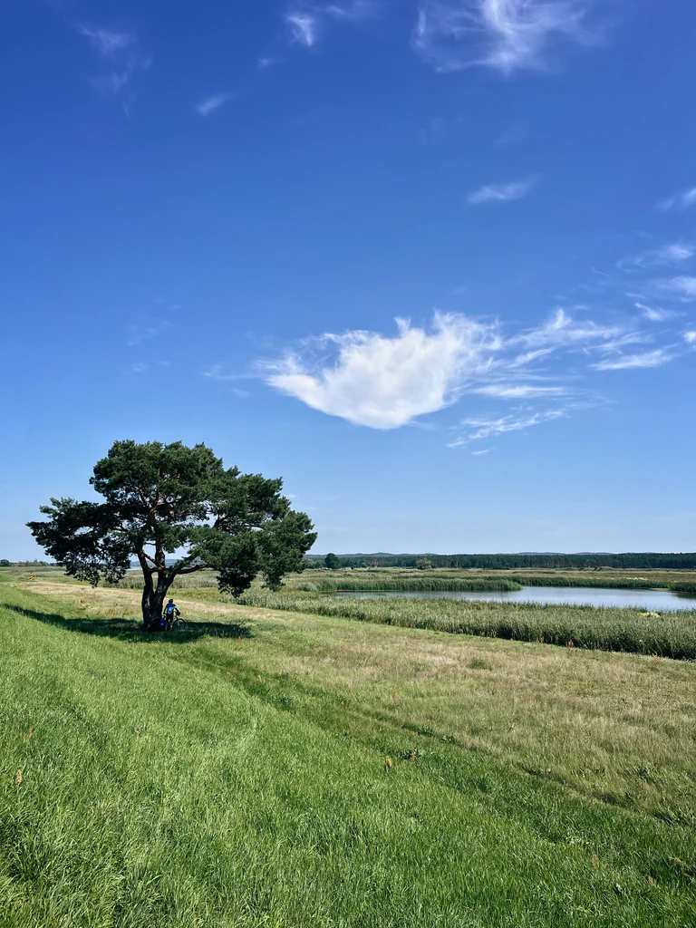 Trasa rowerowa D12 Odra-Nysa 18 trasa rowerowa odra nysa rzeka