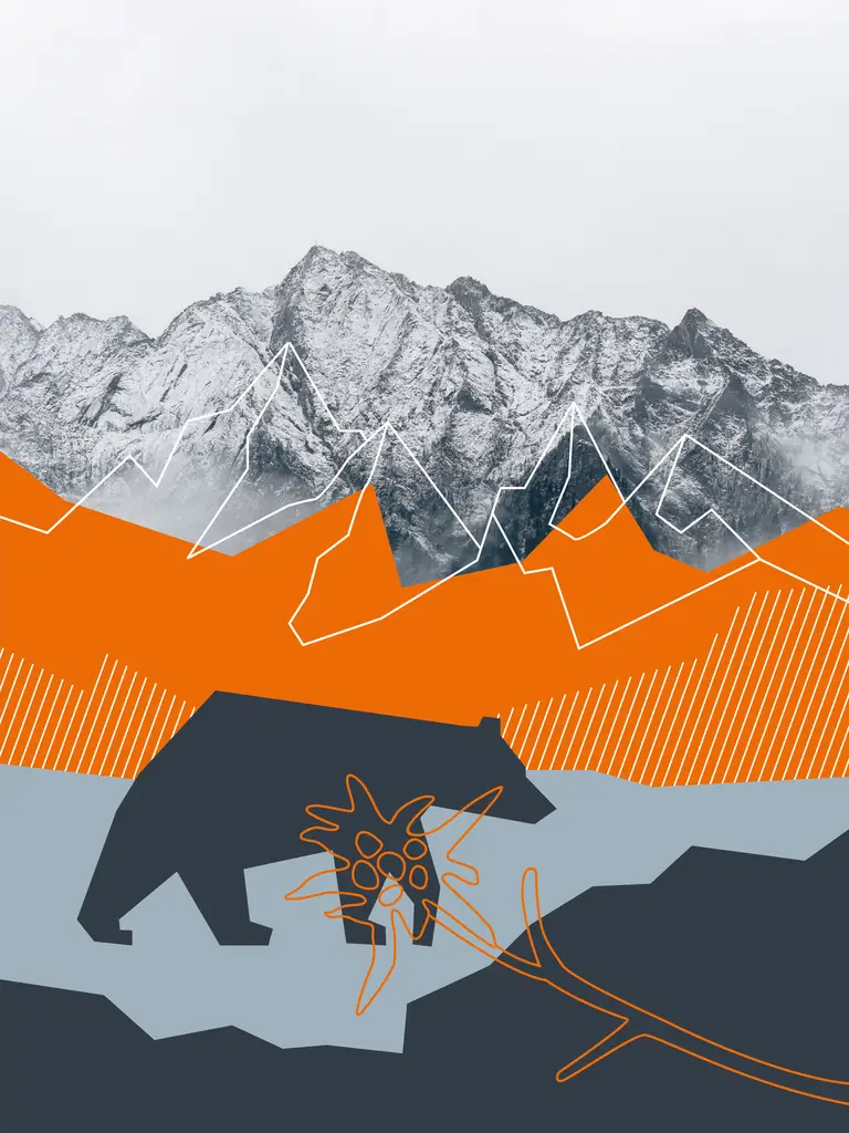 DOSTOJNY NIEDŹWIEDŹ